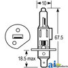 A & I Products BULB - 12V 55W 1.75" x4" x1.75" A-VLC0448